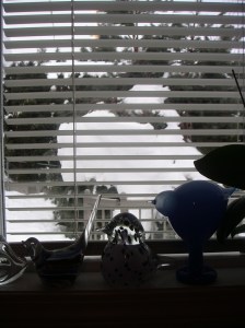 MINOLTA DIGITAL CAMERA