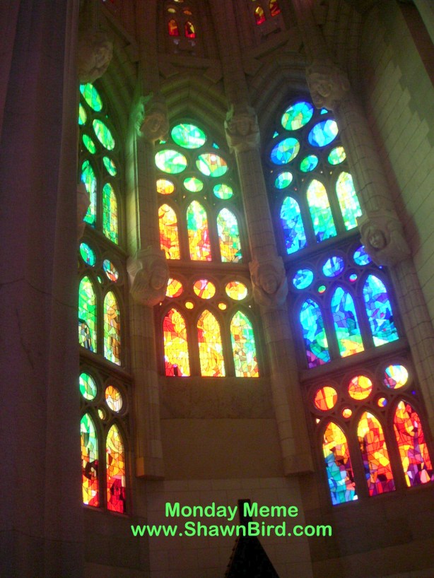 MINOLTA DIGITAL CAMERA